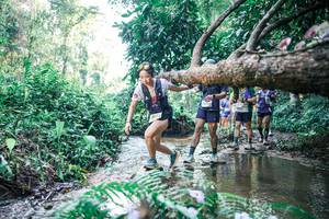 BIB: 
                            <button type="button" onclick="openModal(25444258)" class="btn btn-primary btn-sm float-right btn-popup" data-toggle="modal" data-target=".modal-high-quality">
                        <i class="fas fa-shopping-cart"></i> Add to Cart
                    </button>
                                            <button type="button" onclick="isThisMe(25444258, true)" class="btn btn-success btn-sm float-right btn-popup btn-isme hidden" data-toggle="tooltip" data-placement="bottom" title="นี่คือรูปของคุณใช่ไหม คลิกที่นี่เพื่อเอาเข้าอัลบั้ม">
                        <i class="fas fa-plus"></i> Add to album
                    </button>
                    <button type="button" onclick="isThisMe(25444258, false)" class="btn btn-warning btn-sm float-right btn-popup btn-isnotme hidden">
                        <i class="fas fa-ban"></i> Remove from album
                    </button>